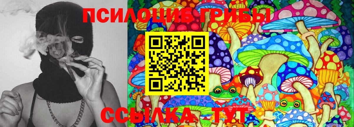 Майский  Псилоцибиновые грибы Cubensis  Вход с VPN 