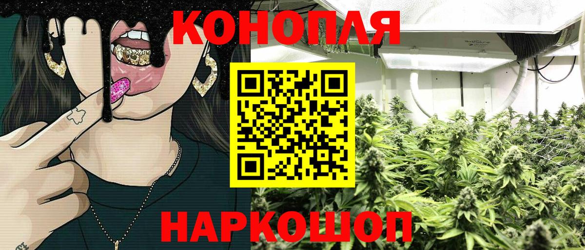 Марихуана конопля Майский